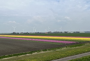 Wijzigingen in gecombineerde opgave uiterlijk 1 of 15 oktober 2025
